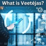 Veetėjas: The Complete Guide to Understanding and Using This Tool