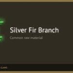 Silver Fir Branch Pax Dei